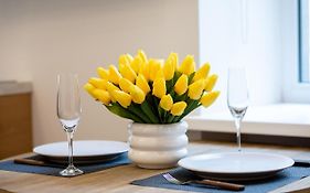 Brivibas House Design Apartments In City Center