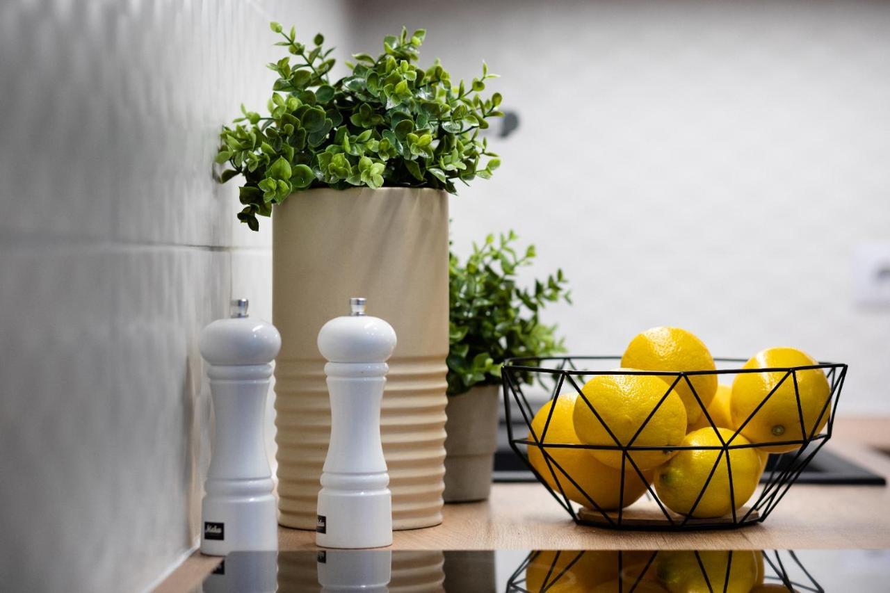 Brivibas House Design Apartments In City Center Riga Esterno foto